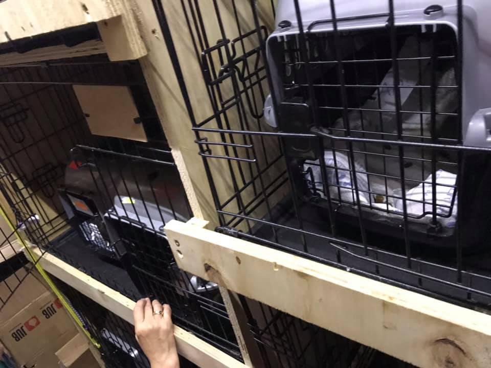 Pfötchen Chance e.V. Flugpaten